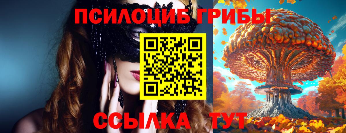 Барабинск  Галлюциногенные грибы Psilocybine cubensis  купить наркотики сайты  Вход с VPN 